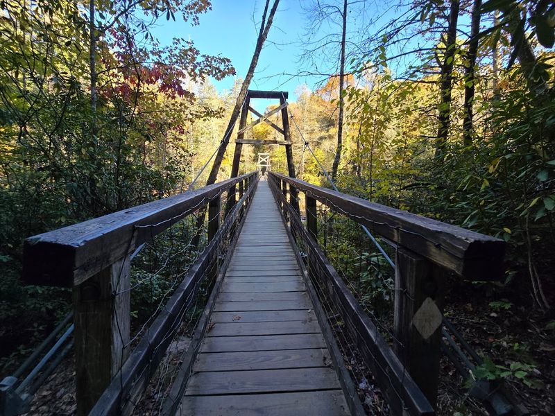 Cooper Creek Recreation Area Trails 