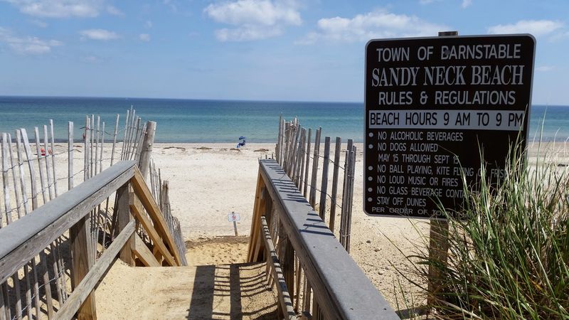 Sandy Neck Beach, Barnstable, Barnstable