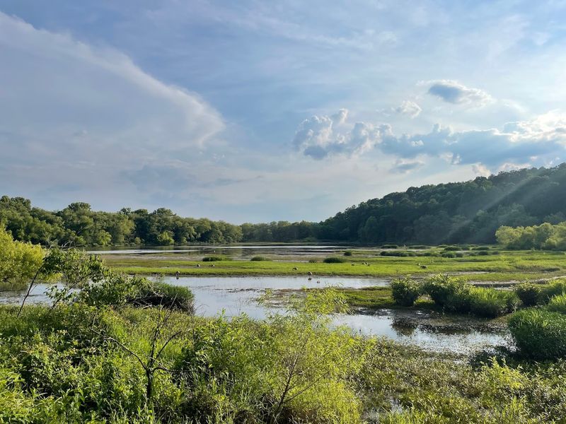 Riverside Park Riverwalk - Roswell