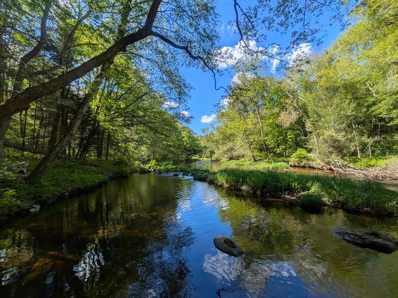 Natchaug State Forest