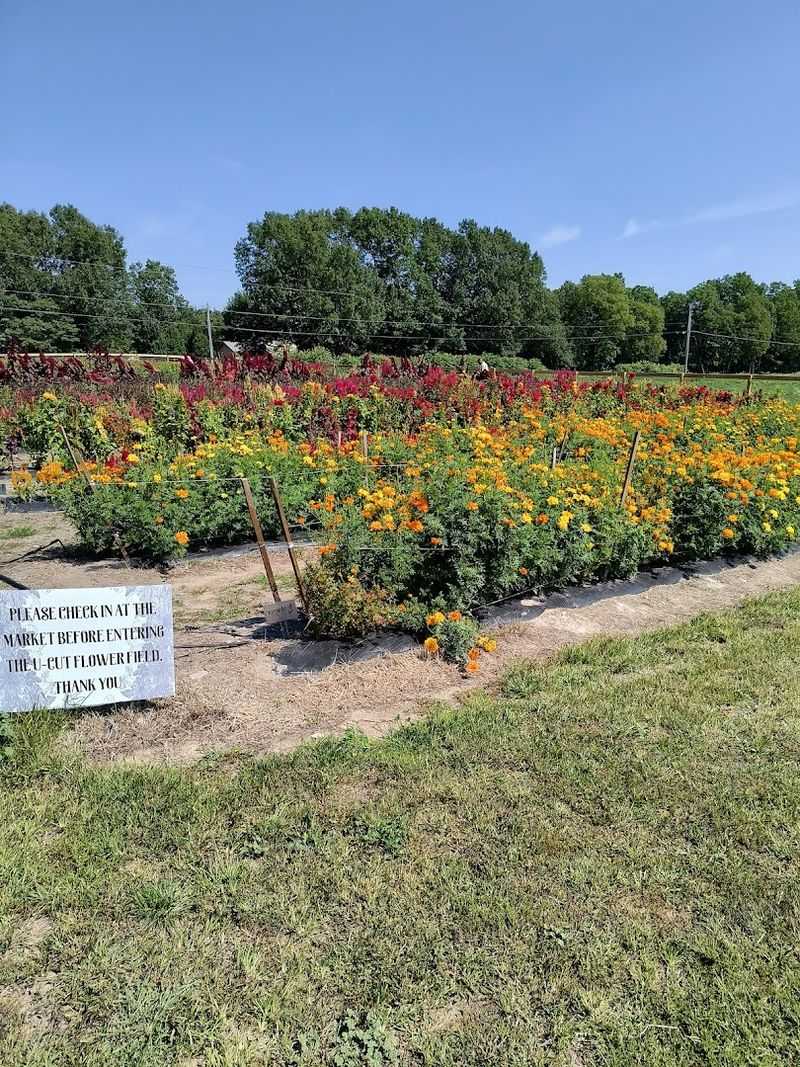 Deep Roots Produce (Farm Florals)