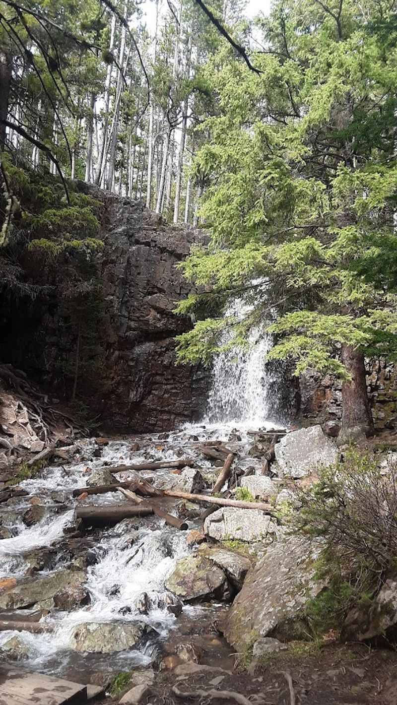 White Sulphur Springs - Meriwether County