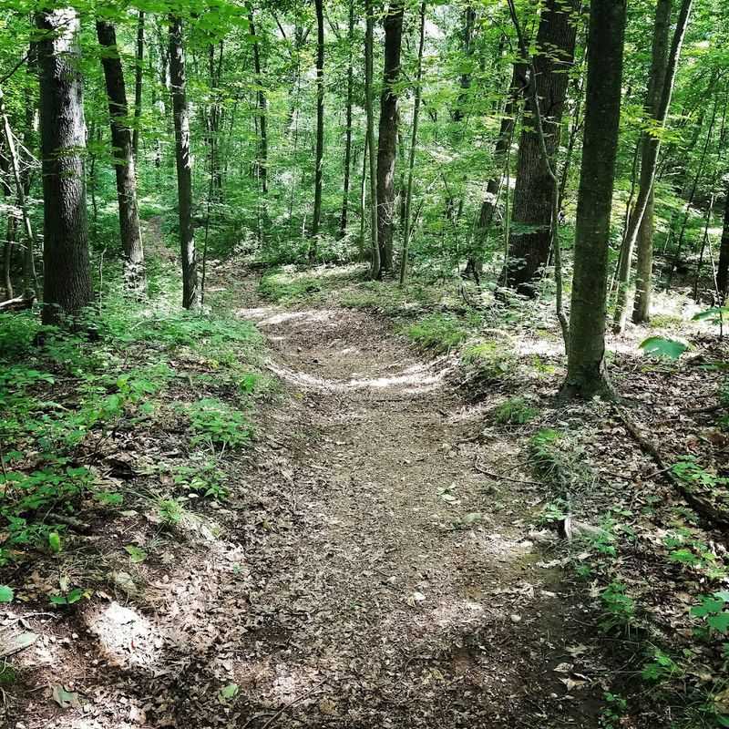 Larkin State Park Trail 