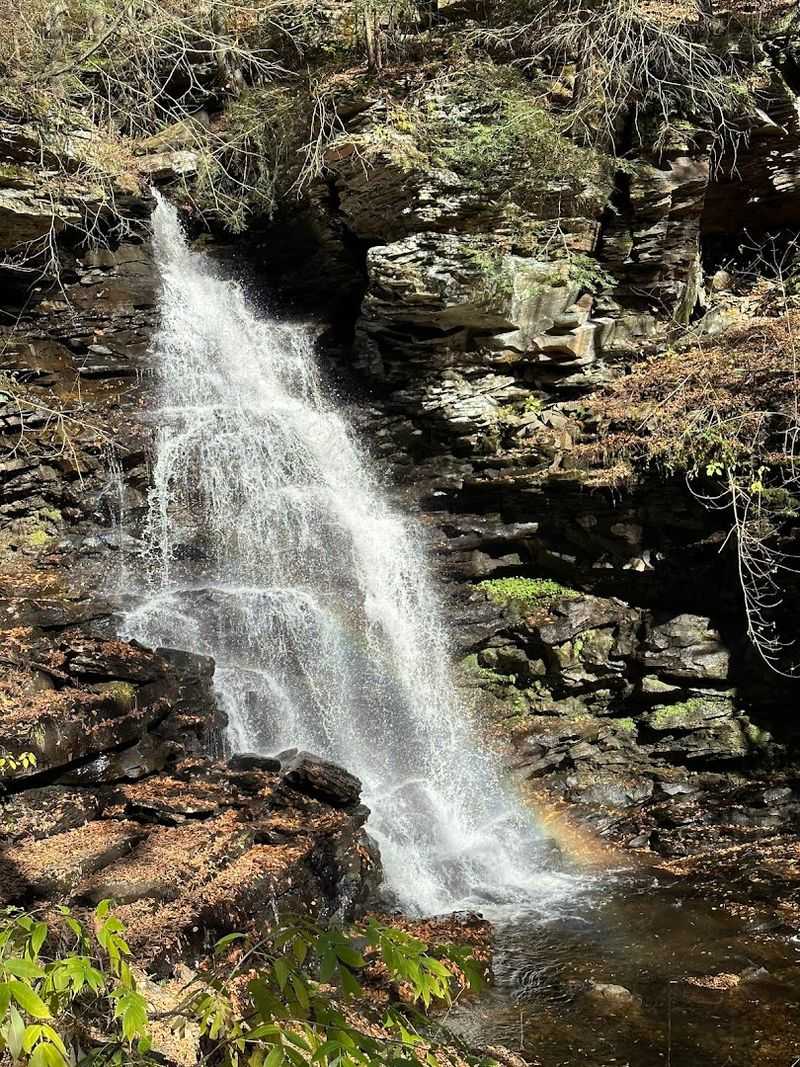 Ricketts Glen State Park
