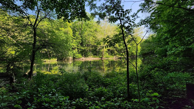 Clifton Gorge State Nature Preserve 