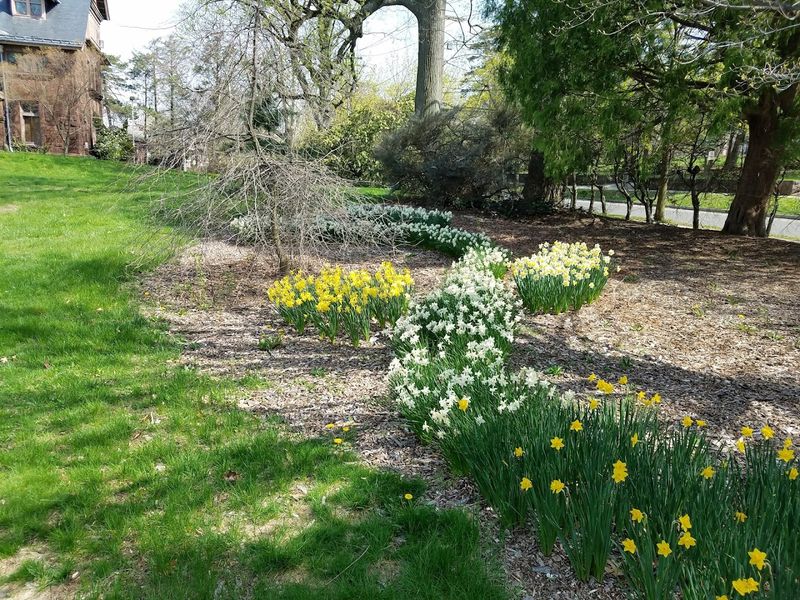 Marsh Botanical Garden (Yale University)