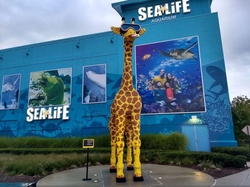 Planning Your Visit for Maximum Enjoyment