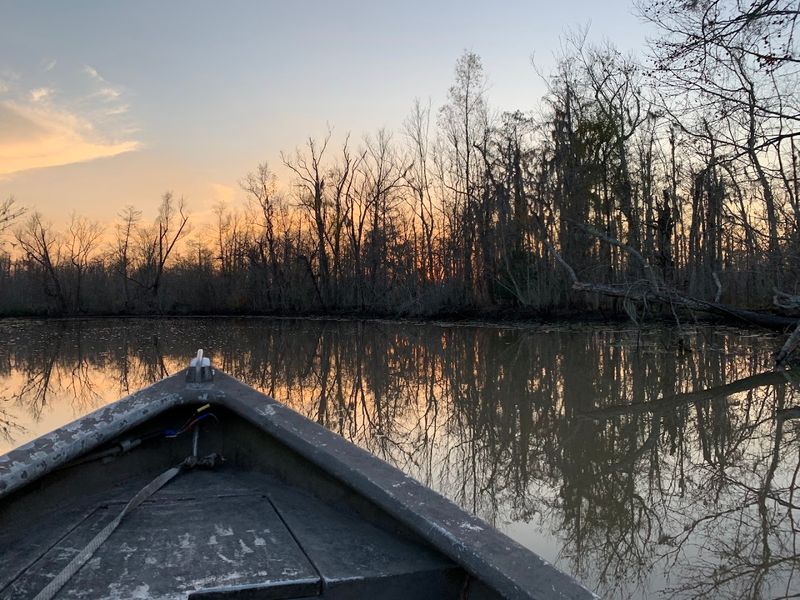 Bayou Boat Tours