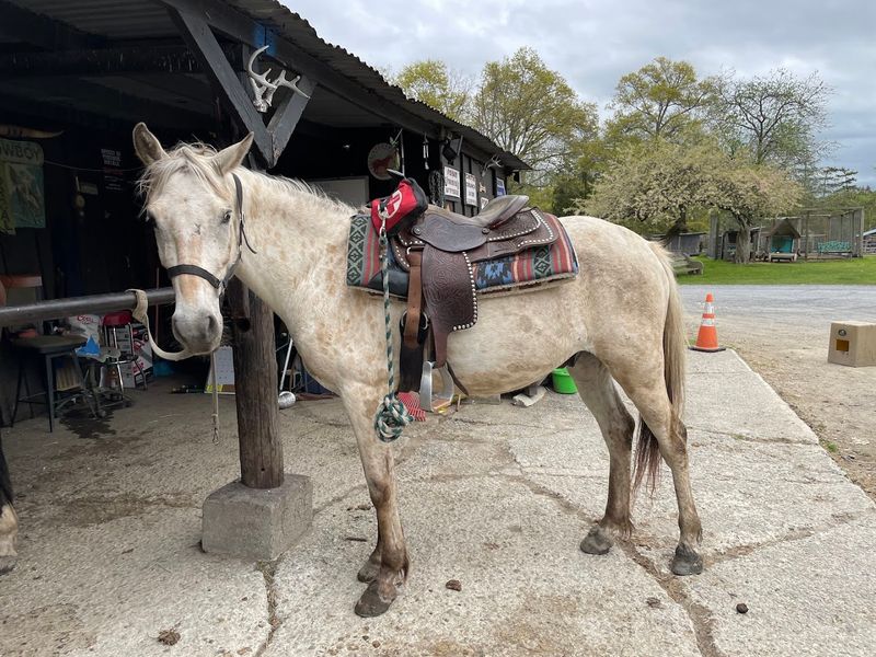 Blue Ridge Ranch &mdash; Bath, Pennsylvania