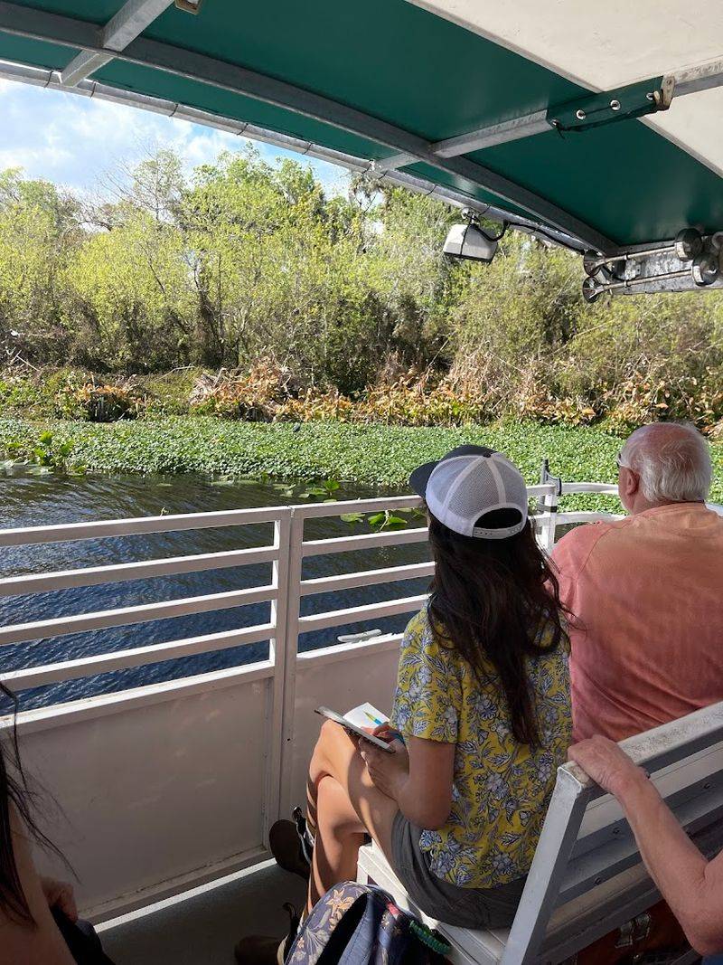 Scenic Boat Tours Through Natural Habitat