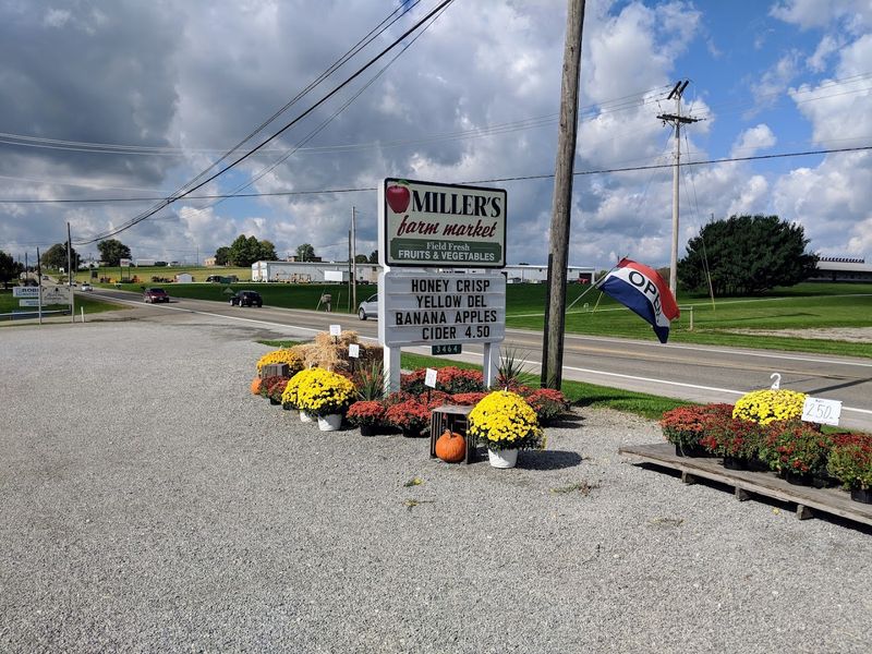 Miller's Farm Market - Millersburg, Ohio
