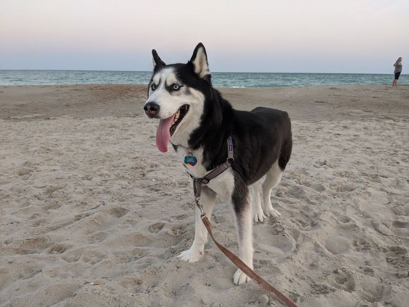 Emerald Isle Beach