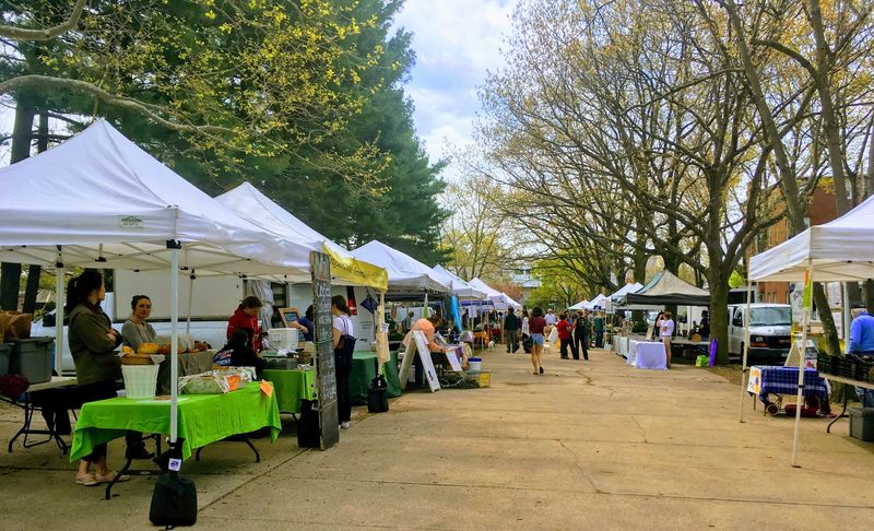 CitySeed Wooster Square Farmers Market &mdash; New Haven