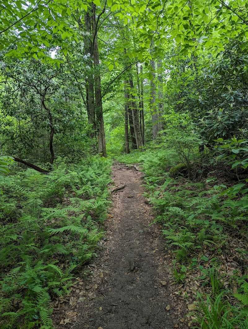 Pink Beds Picnic and Trail Area