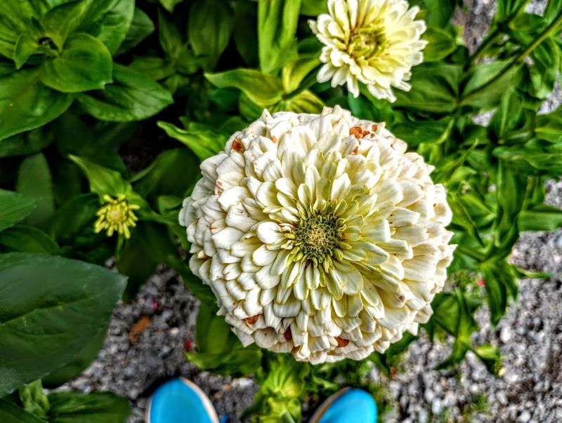 Ballek's Garden Center - East Haddam, Middlesex County,