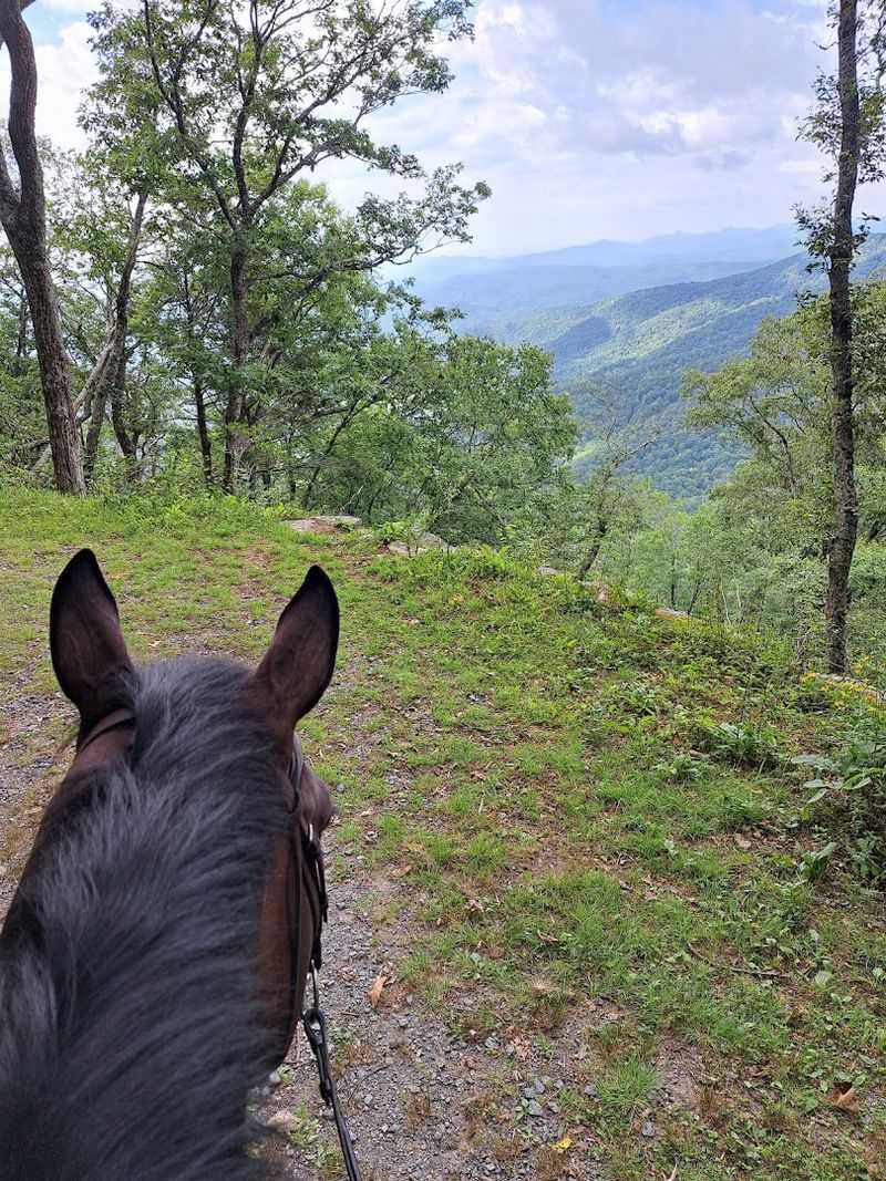 Broyhill Equestrian Preserve 