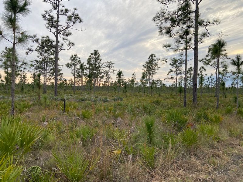 Hal Scott Regional Preserve Horse Trails 
