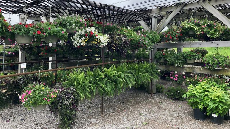 Bethel Farm & Garden - Gloucester, Gloucester County