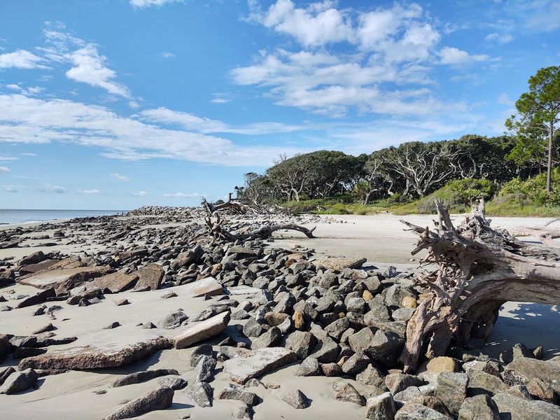 Driftwood Beach