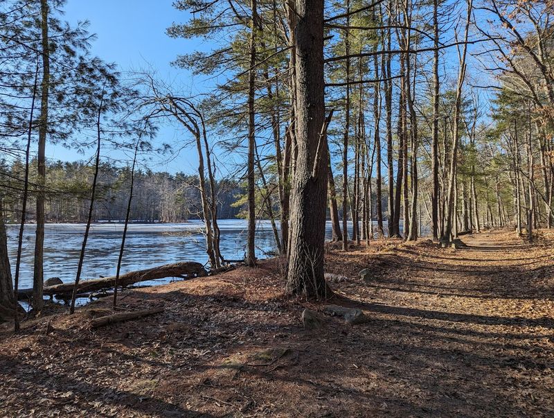 Harold Parker State Forest 