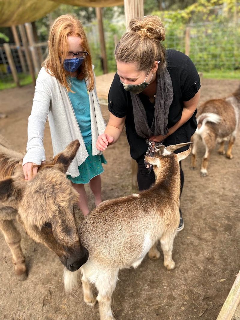 Amazing Animals Inc (St. Cloud)