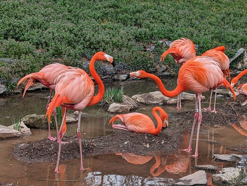 Philadelphia Zoo (Philadelphia)
