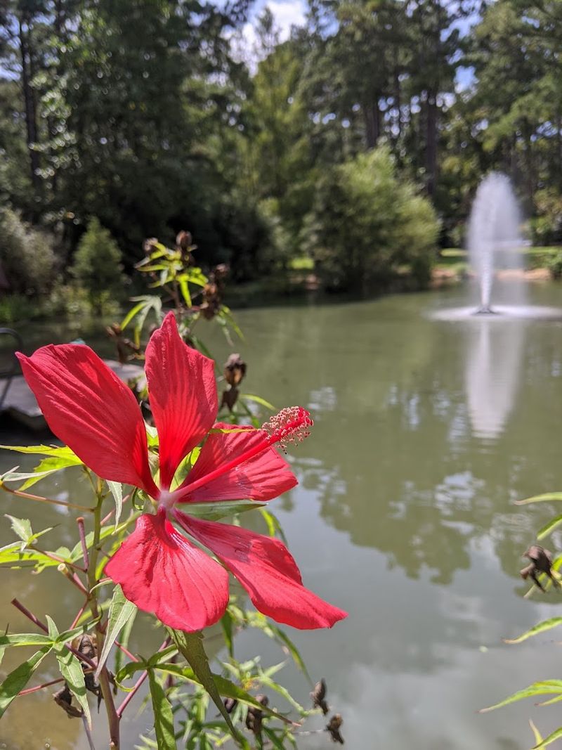Cape Fear Botanical Garden – Fayetteville