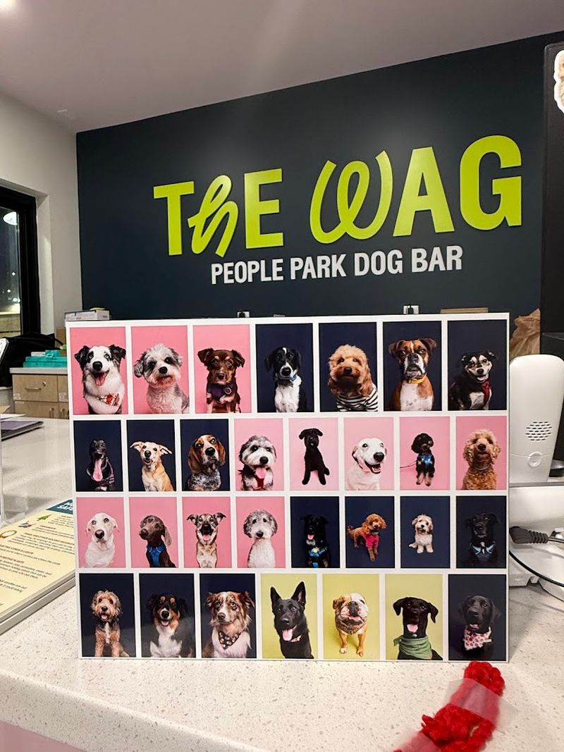 Wag! The Urban Dog Park 