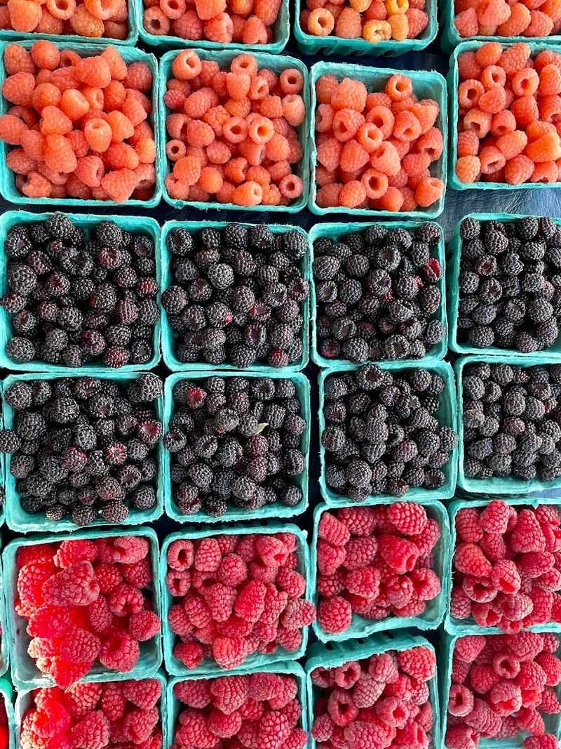 Guntzviller's Berry Farm (Northport)