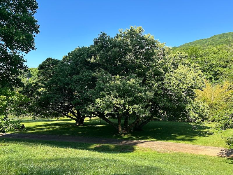 Bull Creek Ranch