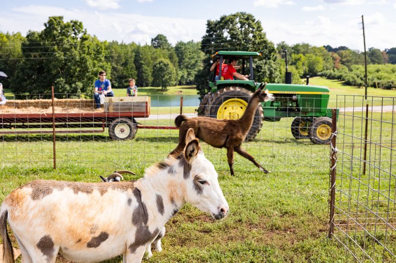 Carrigan Farms - Mooresville, Iredell County