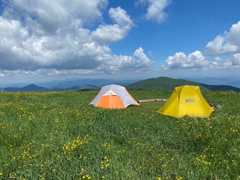 Max Patch Trail