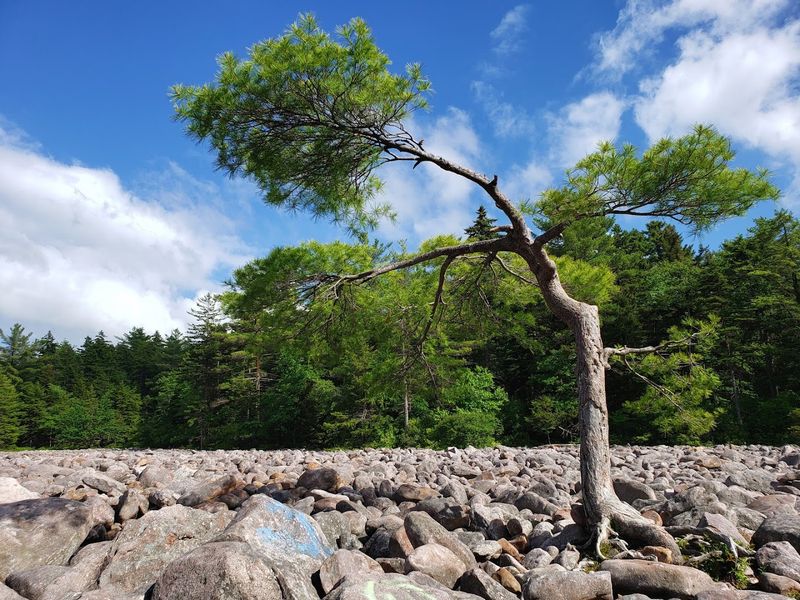 Hickory Run State Park Boulder Field
