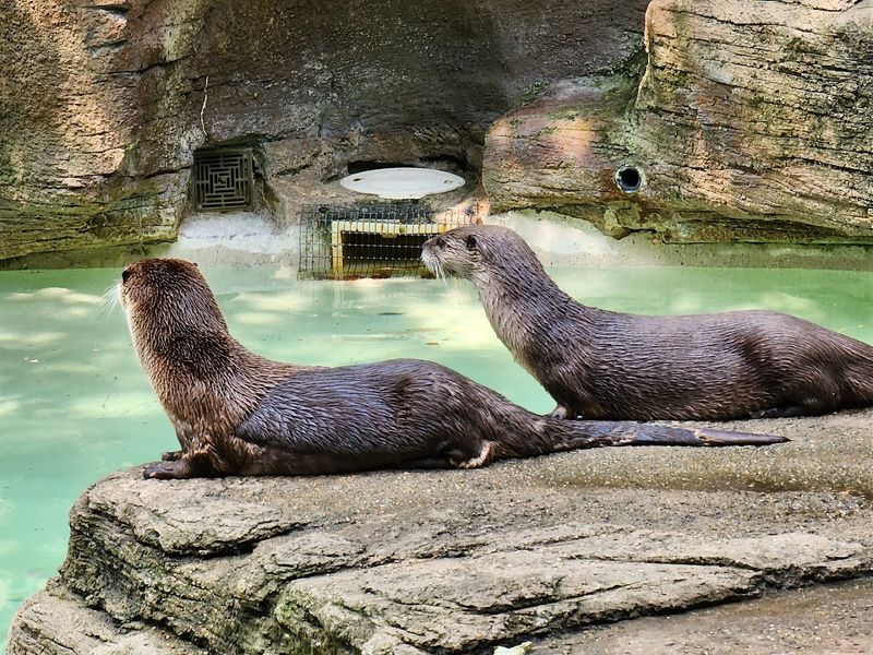John Ball Zoo - Grand Rapids, Kent County