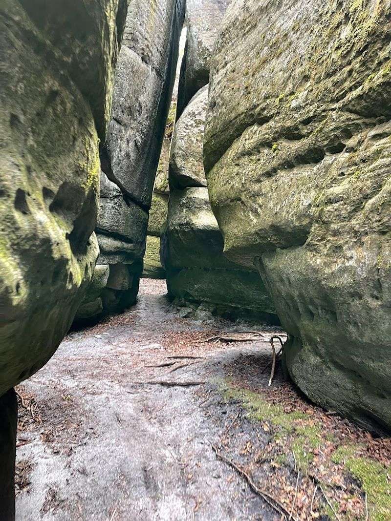 The Channels Natural Area Preserve