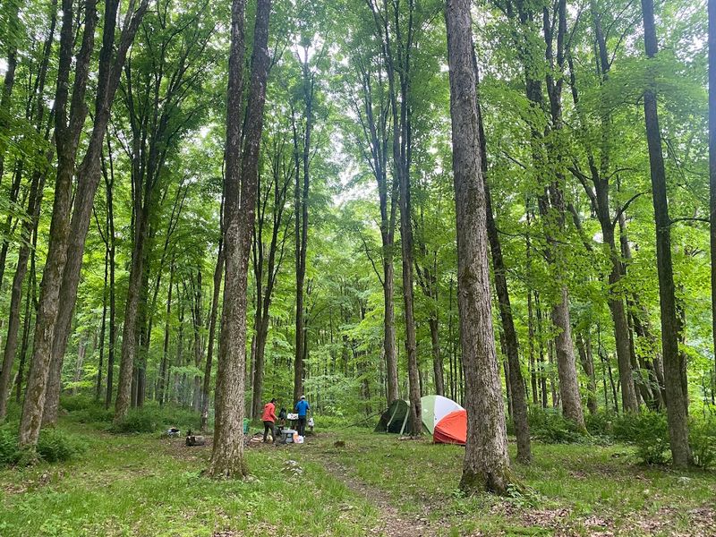 Macedonia Brook State Park, Kent, Litchfield County