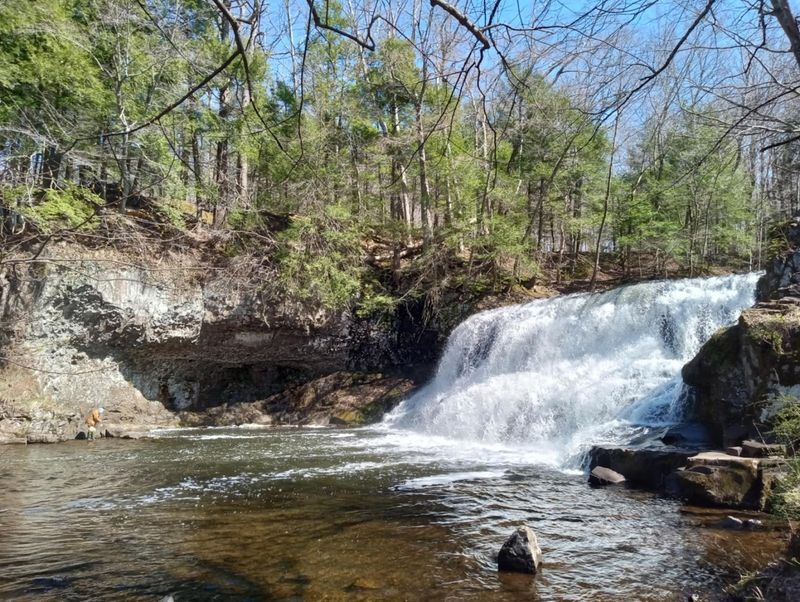 Enders State Forest 