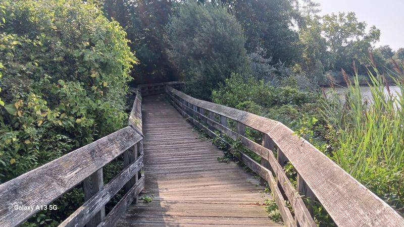 Bluff Point Coastal Reserve Trail