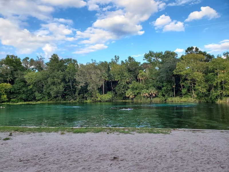 Alexander Springs Recreation Area 