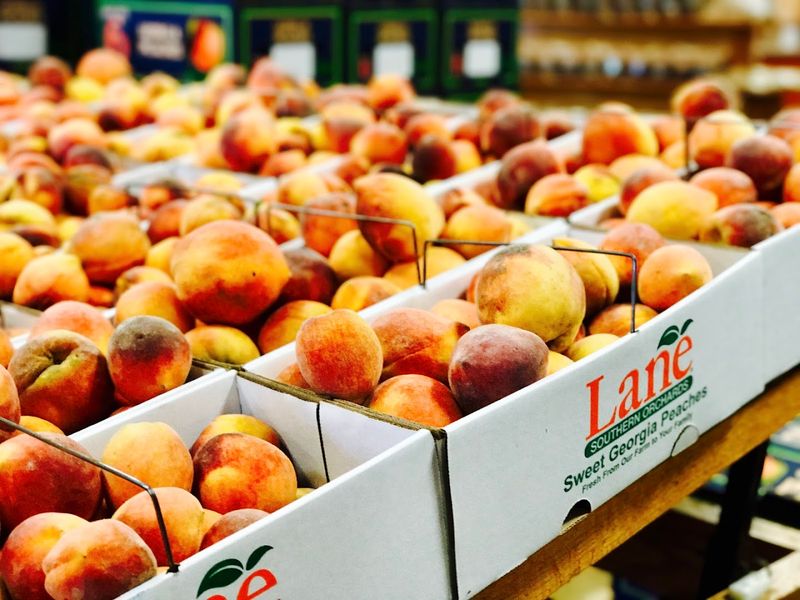 Lane Southern Orchards - Fort Valley, Peach County