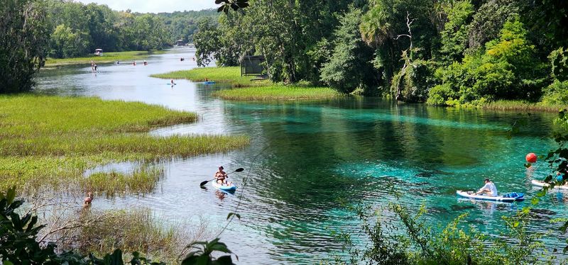 Rainbow Springs State Park (Dunnellon)