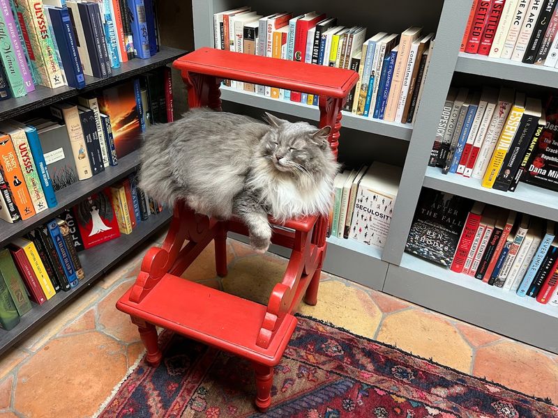 E. Shaver, Bookseller, Savannah, Chatham County