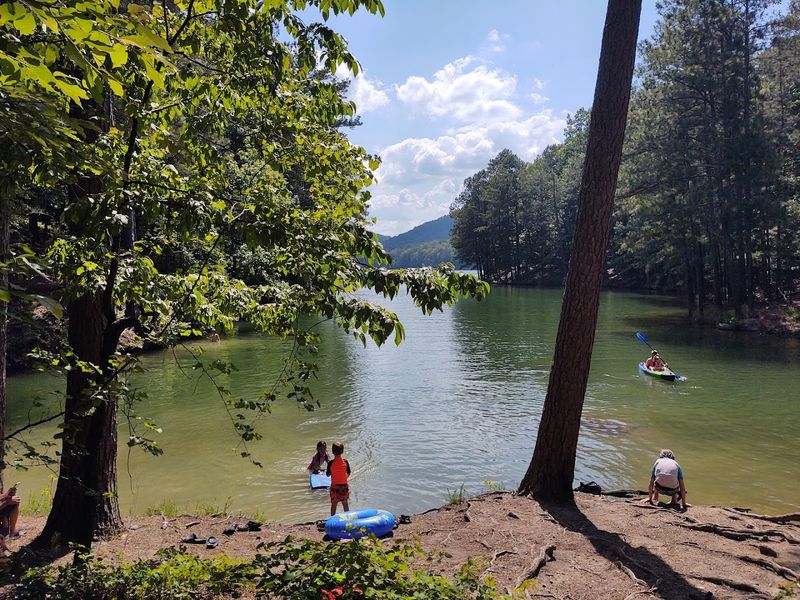 Red Top Mountain State Park Beach
