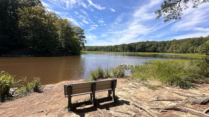 Pocahontas State Park 
