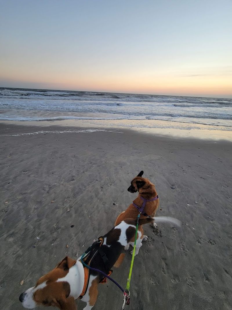 Corolla and Duck Beaches, Outer Banks