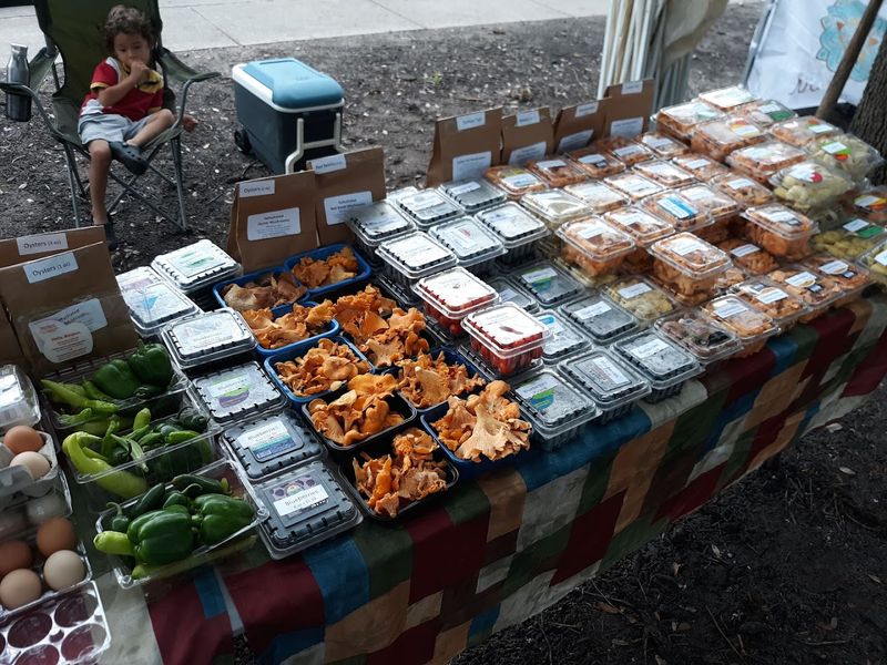 Pensacola Palafox Market &ndash; Pensacola