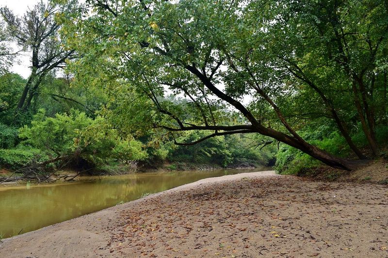 Neuse River Greenway Trail — Raleigh
