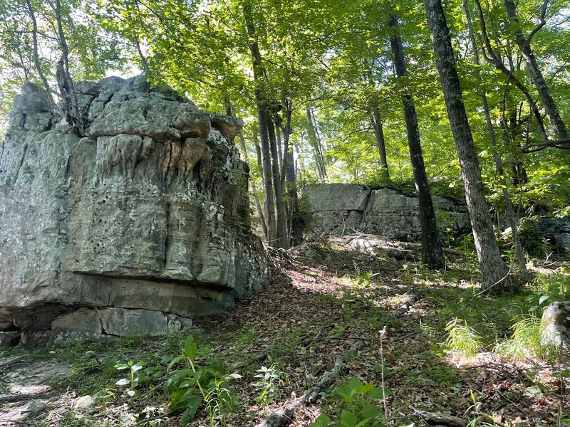 Tinker Cliffs