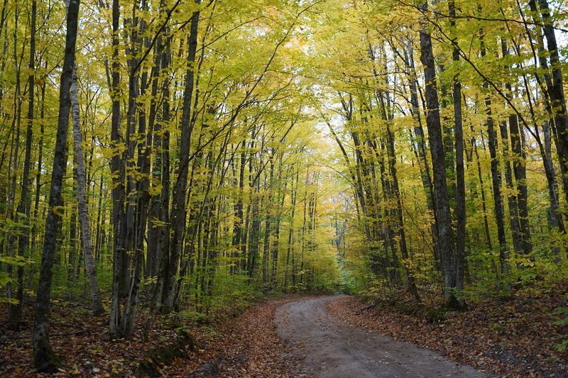 High Country Pathway