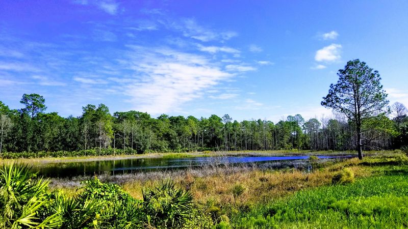 Seminole State Forest